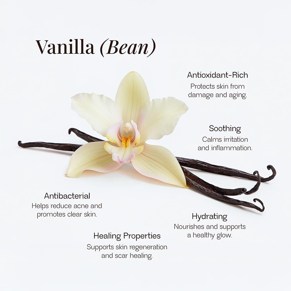 Snow Whip Tallow Balm with Vanilla Bean
